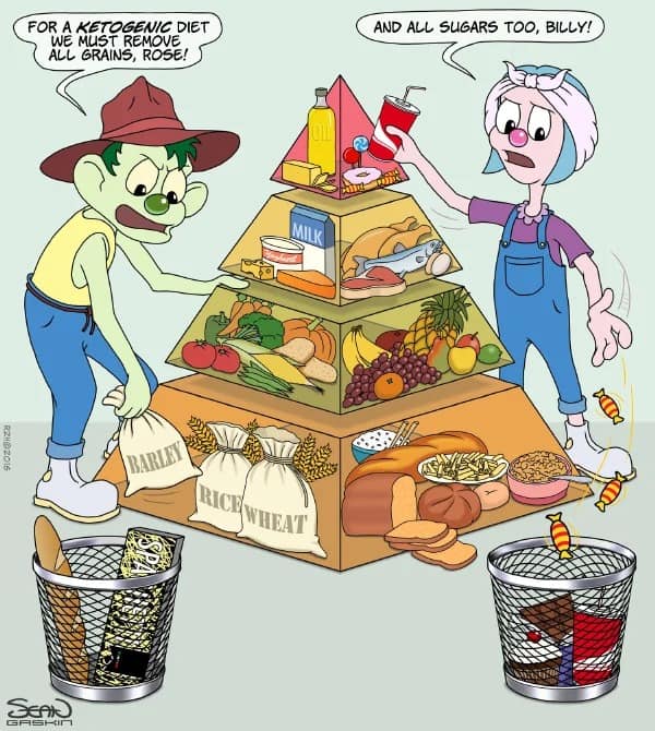 Ketogenic Diet: Fallacy, Fad or Fact?