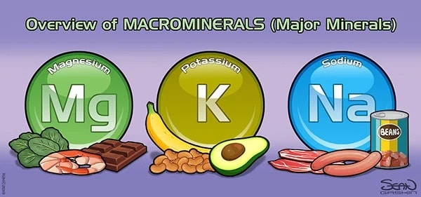 An Overview of Macrominerals (Major Minerals)