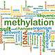 Methylation: Essential For Good Health Methylation: Essential For Good Health