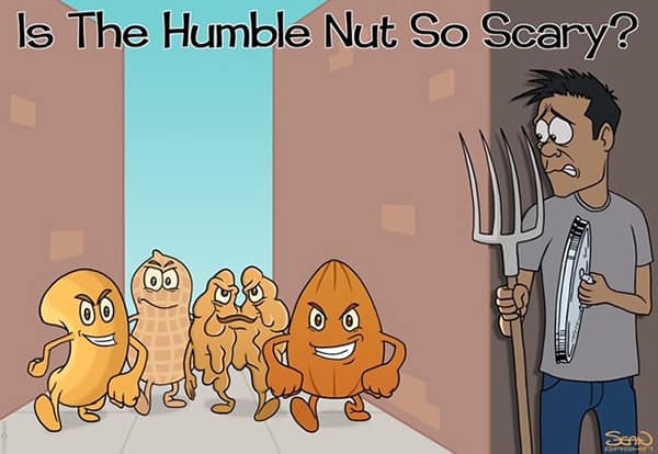 Nut Allergies: How to Nutproof Your Life