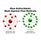 Antioxidants; Why Do We Need Them?