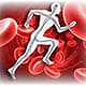 What Are Systemic Enzymes & What Do They Do? What Are Systemic Enzymes & What Do They Do?