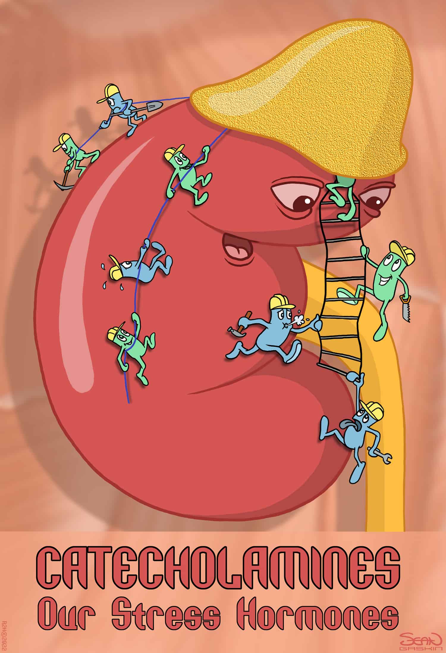 Catecholamines: Say Hello to Your Built-in Stress Responders