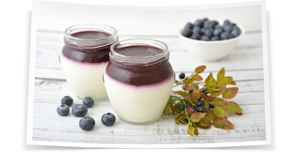 Vanilla Panna Cotta