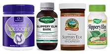 Slippery Elm 