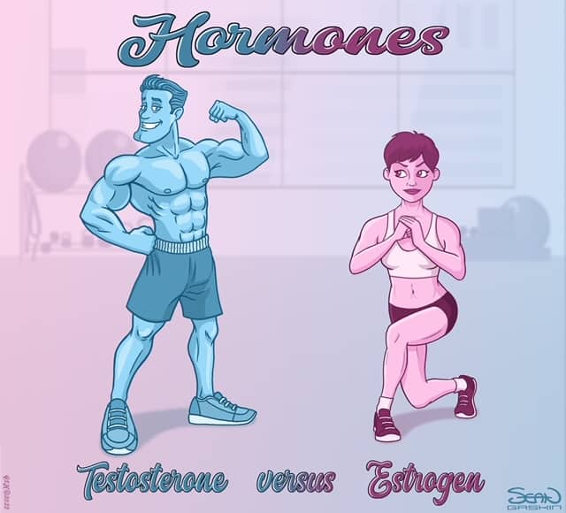 Homing in on Your Hormones