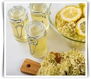 Elderflower Cordial