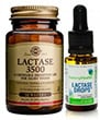 Lactase 