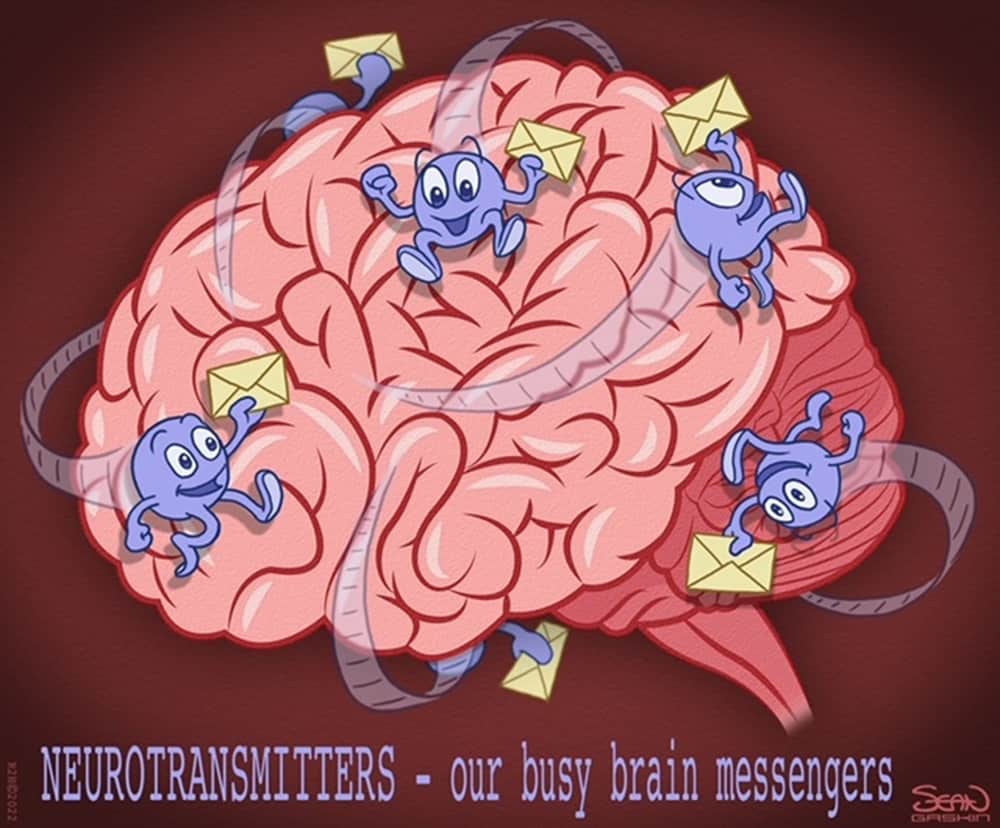Neurotransmitters Part 1: Don’t Shoot the Messenger!