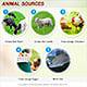 Quality Protein: Our Top Five Animal & Plant Sources
