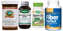 Slippery Elm Slippery Elm
