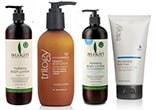 Body Lotion Body Lotion