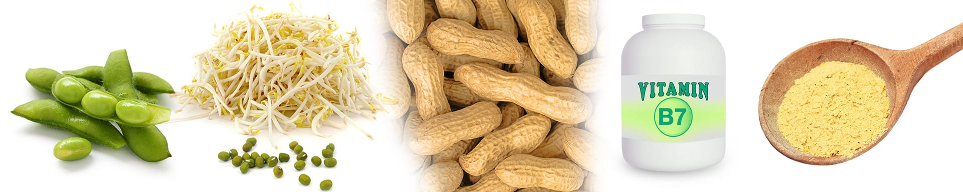 Vitamin B7 (Biotin)