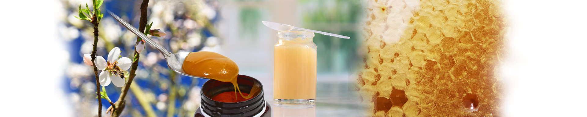 Manuka Honey Wound Care