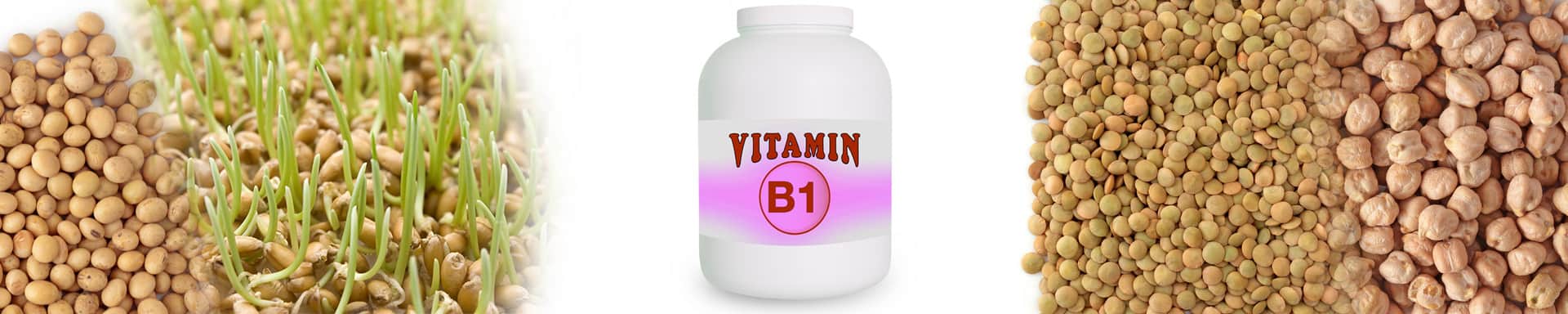 Vitamin B1 (Thiamine) 