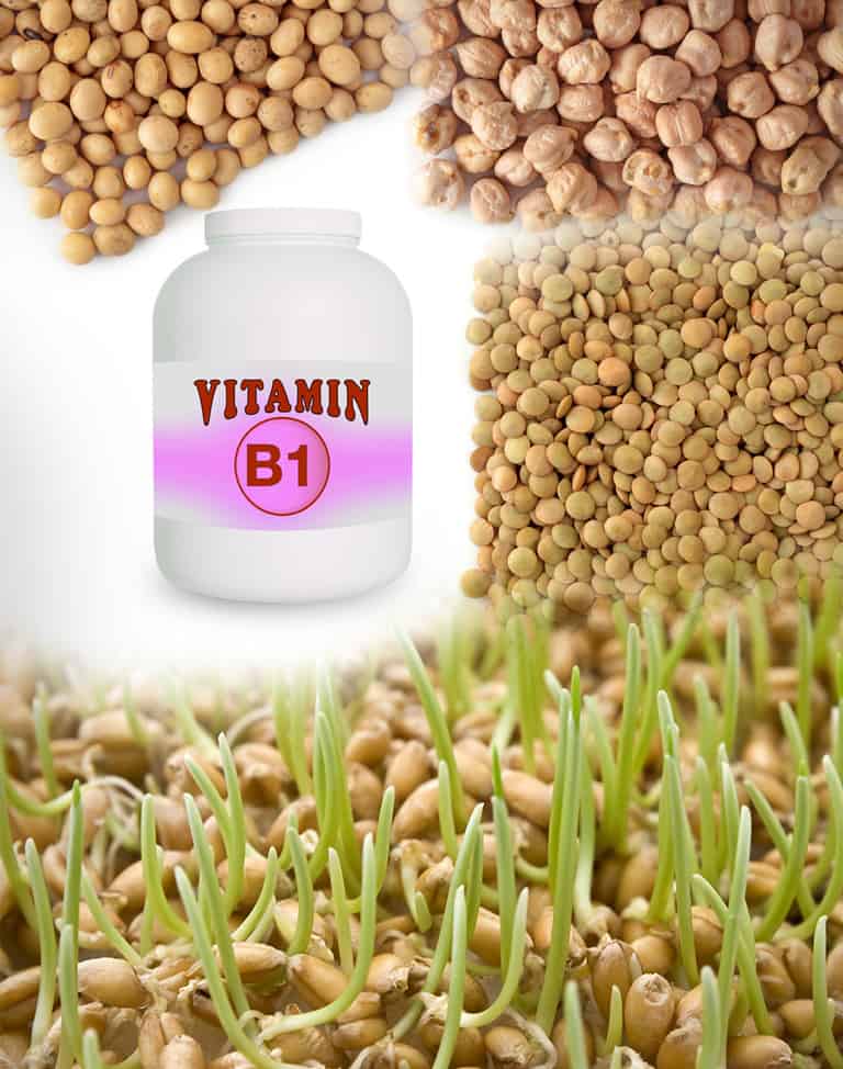 Vitamin B1 (Thiamine) 
