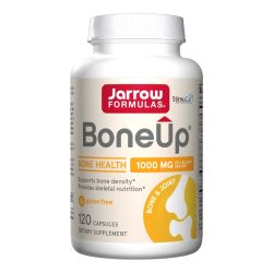 Bone-Up