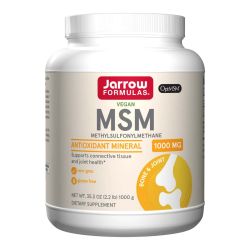 MSM Powder 1000mg