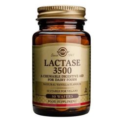 Solgar Lactase 3500 Chewable Tabs