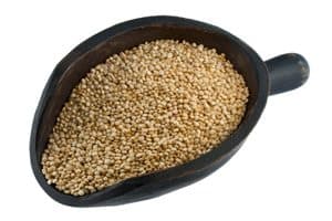 Amaranth Grain