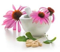 Echinacea