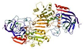 Proteins