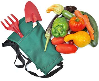 Organic Gardening Tools