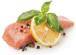 Salmon