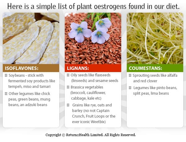 Plant Oestrogens Found in our Diet