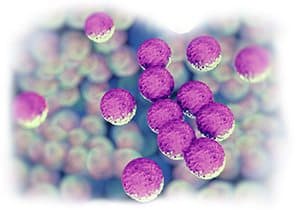Inhibits Pathogens