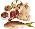 Protein Foods