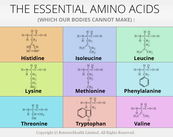 Essential Amino Acids