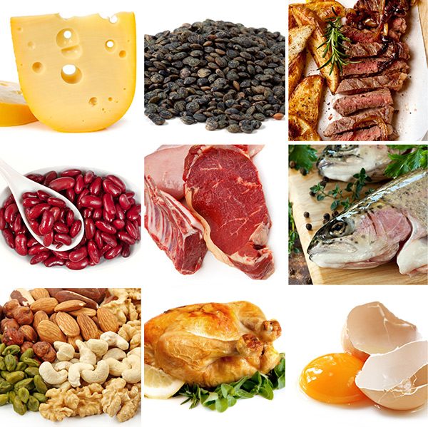 Quality Protein Quality Protein
