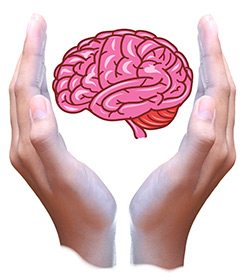 Brain