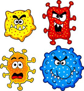 Bugs