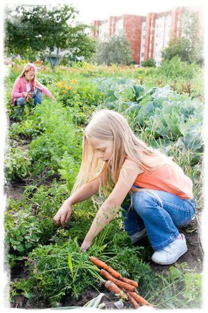 canstockphoto9213519