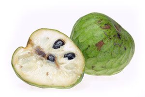 Cherimoya