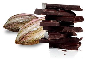 cocoa-fruit-and-dark-chocolate