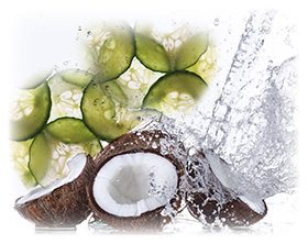 Cucumber-&-Coconut-Toner