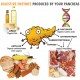 The rise...and Fall of Digestive Enzymes