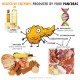 The Rise and Fall of Digestive Enzymes