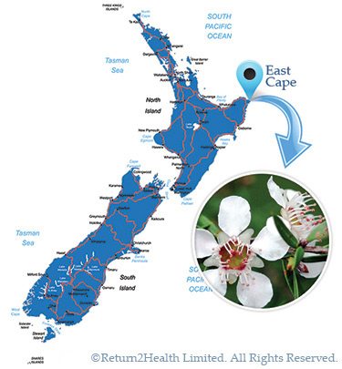 east-cape1