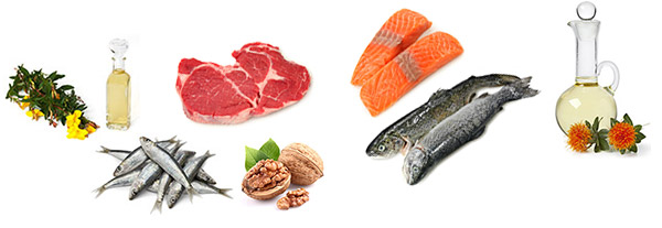 Essential Fatty Acid food Sources
