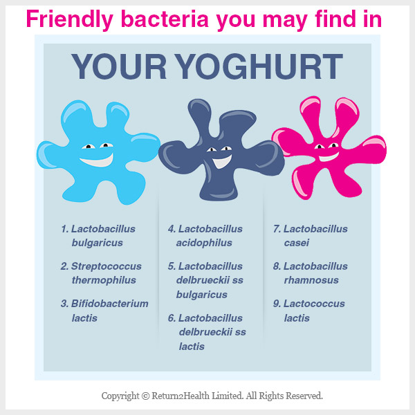 Friendly-bacteria-you-may-find-in-your-yoghurt
