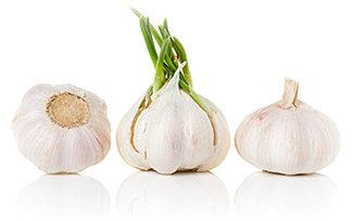 garlic
