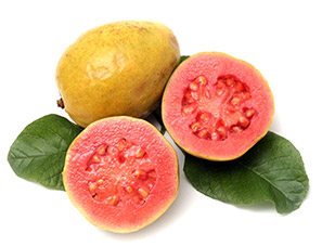 Guava
