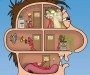  Headache