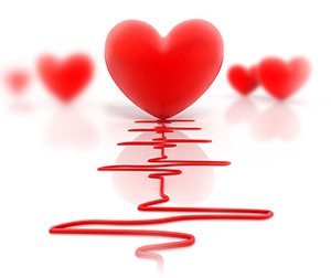 Heart