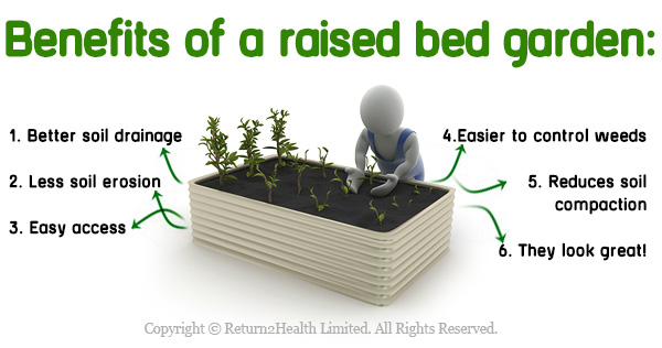 Raised Bed Garden