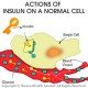 Insulin